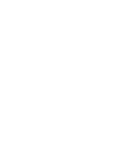 6icon 6icon
